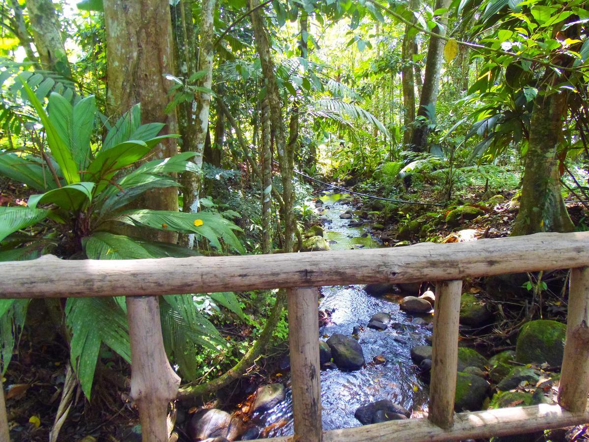 Hotel Valle Azul San Gerardo Rum bild