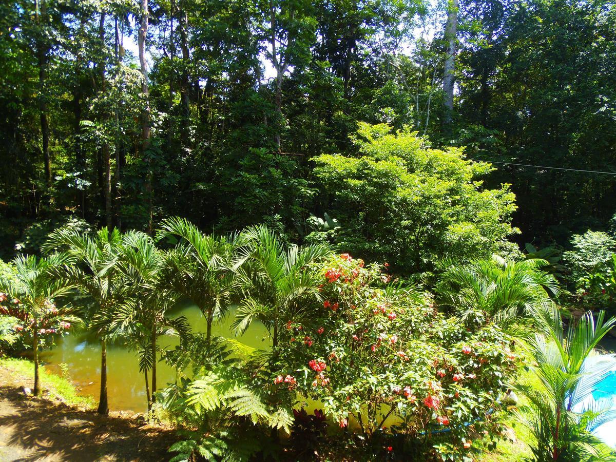 Hotel Valle Azul San Gerardo Rum bild
