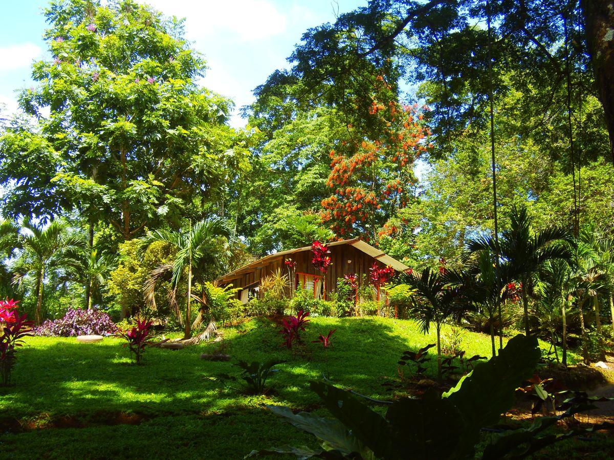 Hotel Valle Azul San Gerardo Rum bild