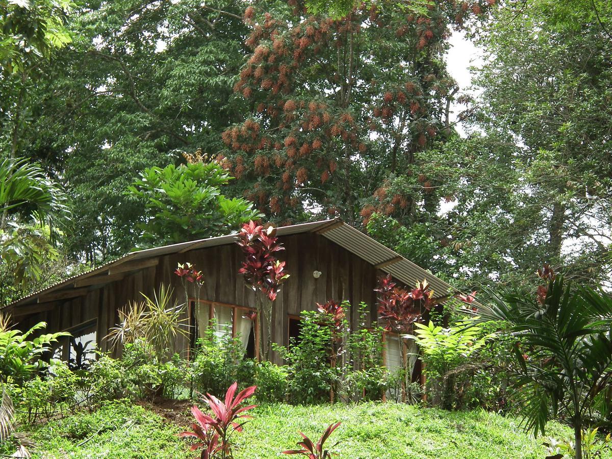 Hotel Valle Azul San Gerardo Rum bild