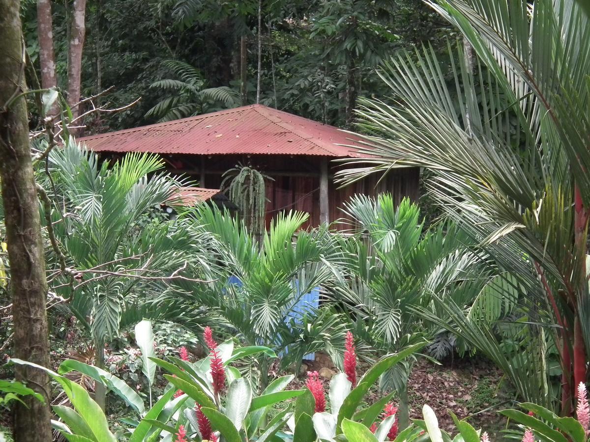 Hotel Valle Azul San Gerardo Rum bild