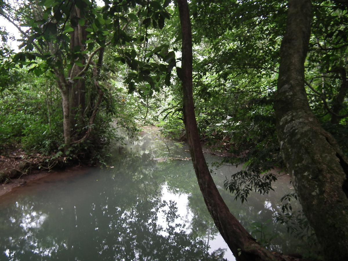 Hotel Valle Azul San Gerardo Rum bild