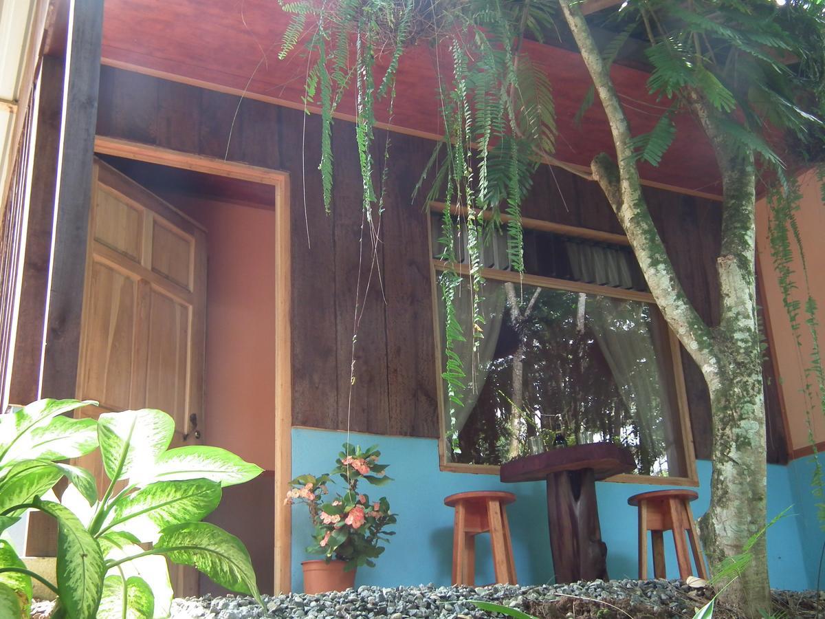 Hotel Valle Azul San Gerardo Rum bild