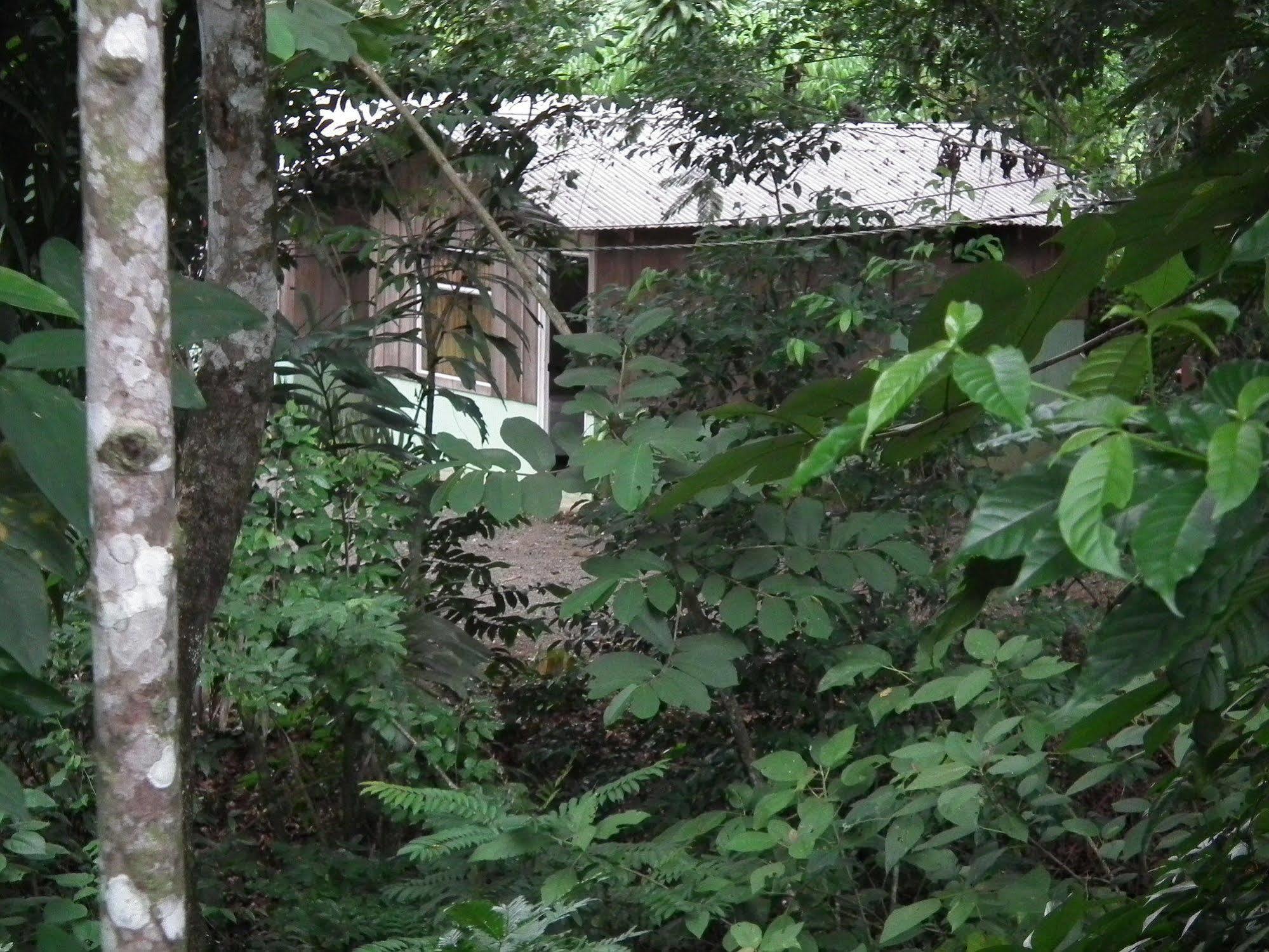Hotel Valle Azul San Gerardo Exteriör bild