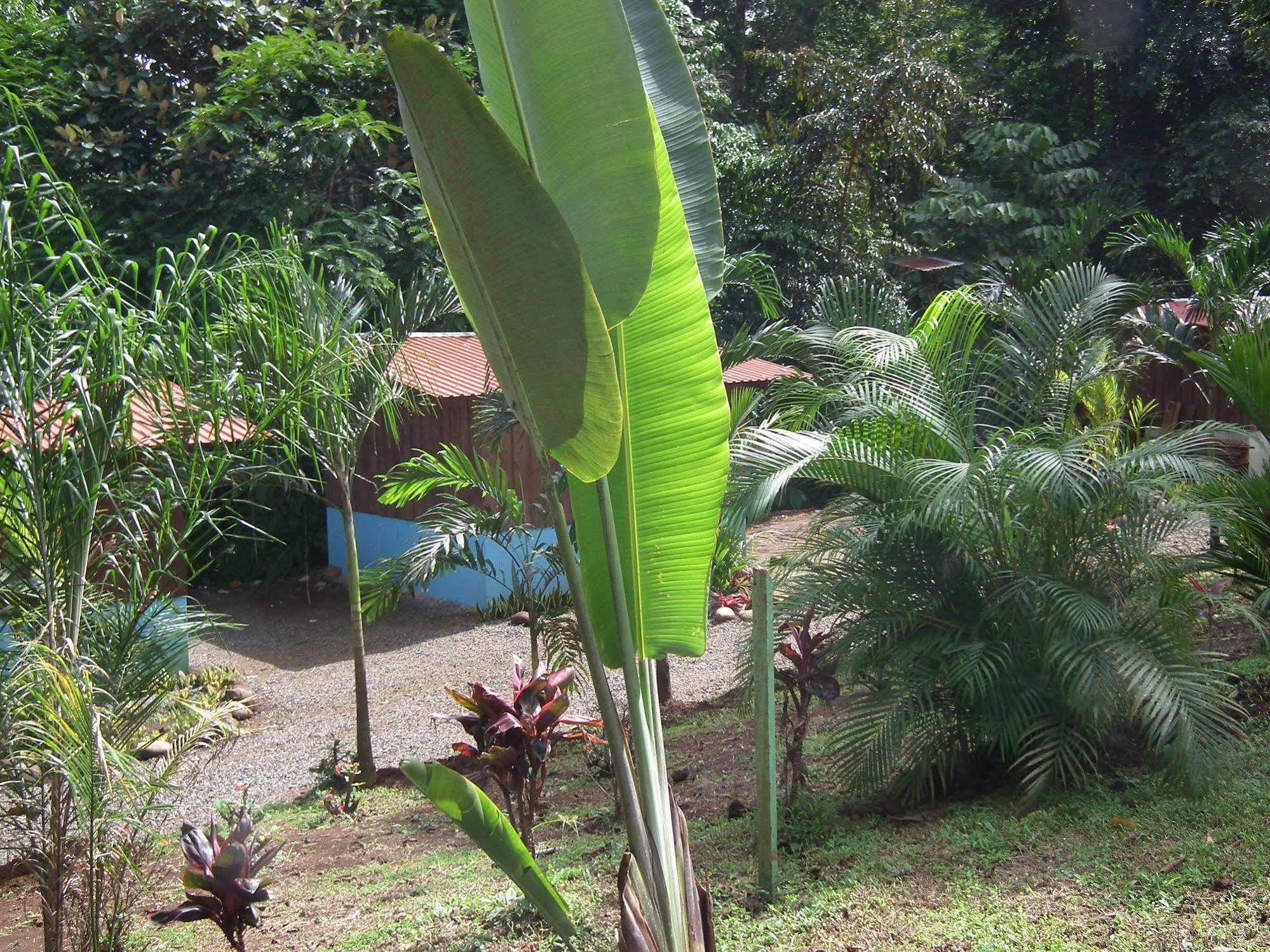 Hotel Valle Azul San Gerardo Exteriör bild